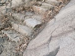 -嵖岈山风景区
