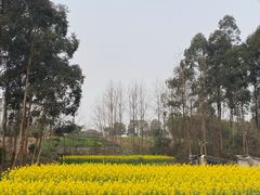 -三圣花乡旅游区