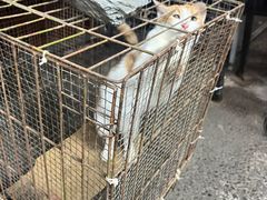 -玉泉综合市场(天山北路店)