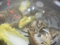 -日进一片海.生腌海鲜火锅.宵夜烧烤(三里屯总店)