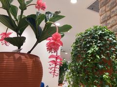 -第六季自助餐厅(北太平庄店)
