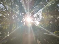 -长白岛森林公园