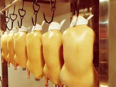 精品烤鸭-皇城根·鲁菜济南菜·吊炉烤鸭·炒鸡鱼头(济南旗舰店)