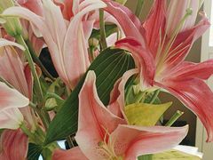 -莱蔻·圣灸堂·推拿艾灸(天山店)