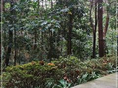 -铁山坪森林公园