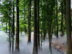 -东湖落雁景区