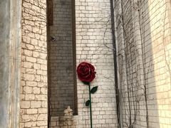 -华谊兄弟（长沙）电影小镇