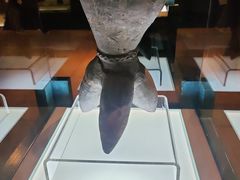 -旅顺博物馆