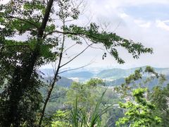 -天鹿湖森林公园