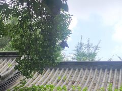 -素满香·素食自助餐(西安·民乐园店)