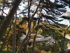 -阳台山自然风景区