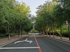 -吉林大学(南岭校区)