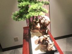 -顺峰(农展馆店)