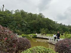 -深圳仙湖植物园