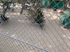 -银川动物园