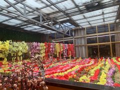 -吉祥圣雪藏餐