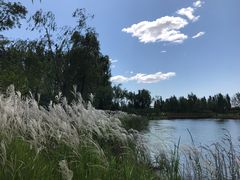 -东郊湿地公园