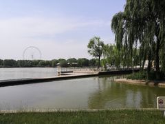 -石家庄市植物园