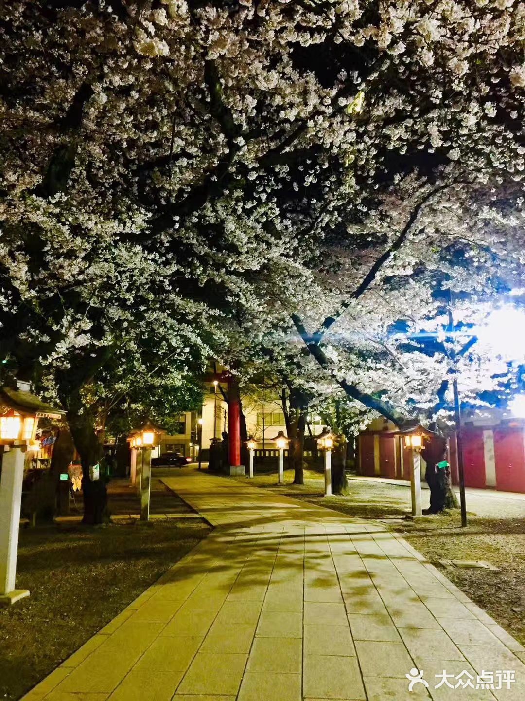 今天