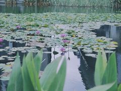 -星巴克(深圳前海企业公馆店)