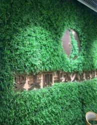 -变美丽半永久纹眉连锁·机器野生眉•洗眉