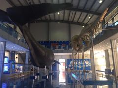 -上海海洋大学鱼文化博物馆(军工路校区)