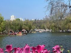 -翠湖公园