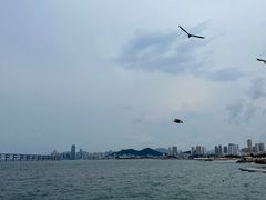 -星海广场