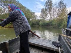 -溱湖国家湿地公园