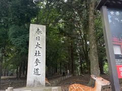 -奈良公园