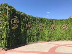 -云南民族村