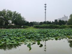 -秀水公园