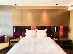 -南京禄口机场雅高铂尔曼大酒店