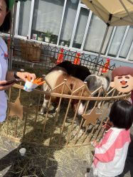 -沈阳市儿童医院
