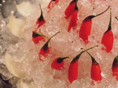 冰镇枸杞拼莲子-天府掌柜(九眼桥店)