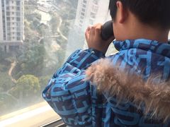 -新湖明珠城