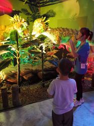 -恐龙探索乐园(磁器口店)