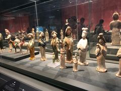 -陕西自然博物馆