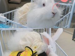 -怪兽屋·羊驼·猫咖·狗咖(俊华广场店)