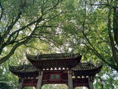 -汇龙潭