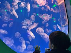 -福州罗源湾海洋世界旅游区