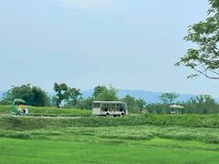 -良渚古城遗址公园