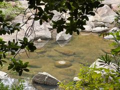 -海南热带雨林国家公园吊罗山景区