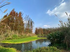 -桤木河湿地公园