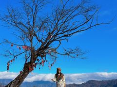 -硗碛藏寨·神木垒景区