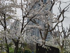 -陆家嘴中心绿地
