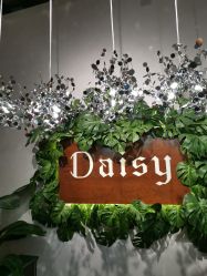点击看大图 -Daisy Beauty lab日式美甲美睫
