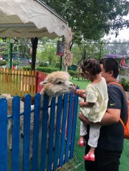 -萌宠亲子动物乐园(槐房万达店)