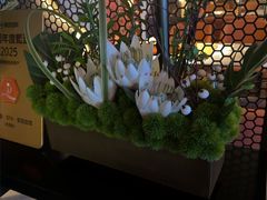 -唐宫足道·SPA·住宿24H会所(木渎店)
