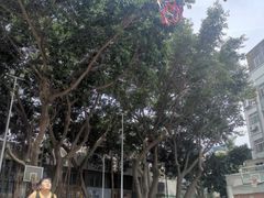 -冠军冰场CHAMPION RINK(中华城店)